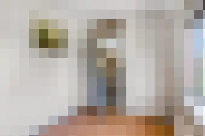 De Tip 3 Herveld thumbnail 26