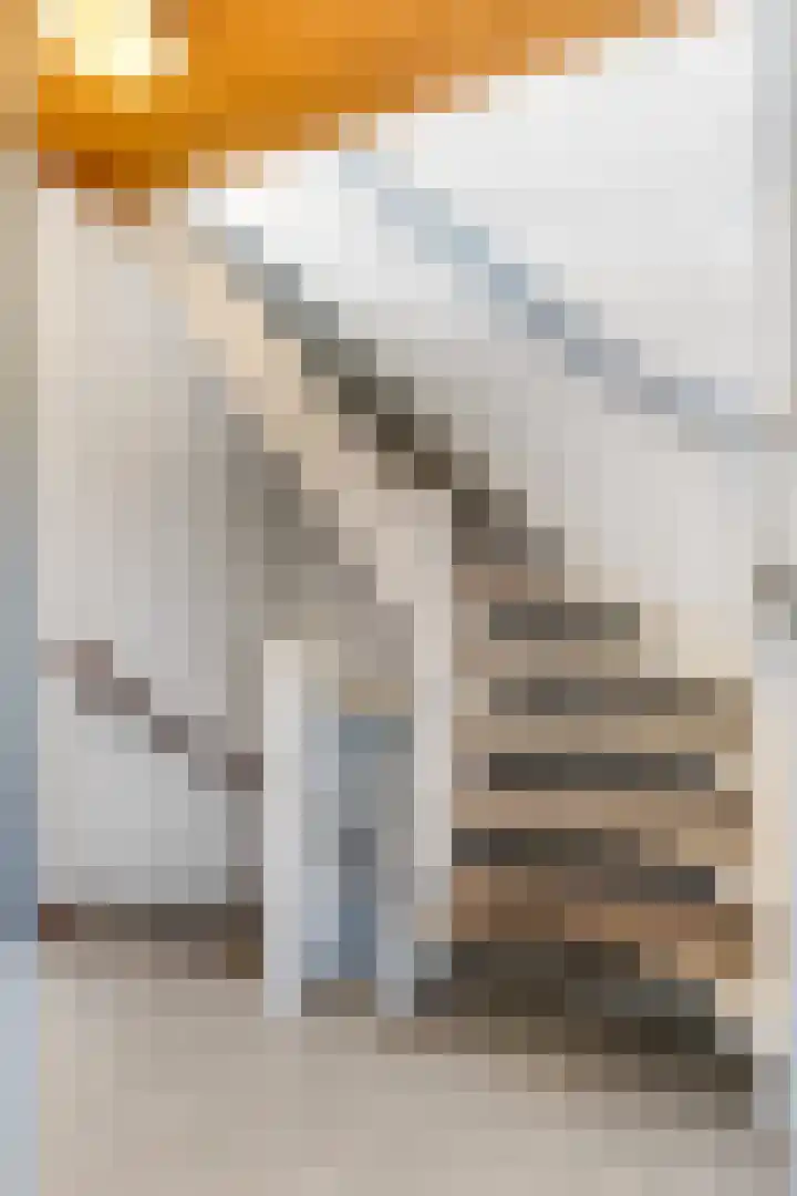 De Tip 3 Herveld thumbnail 27