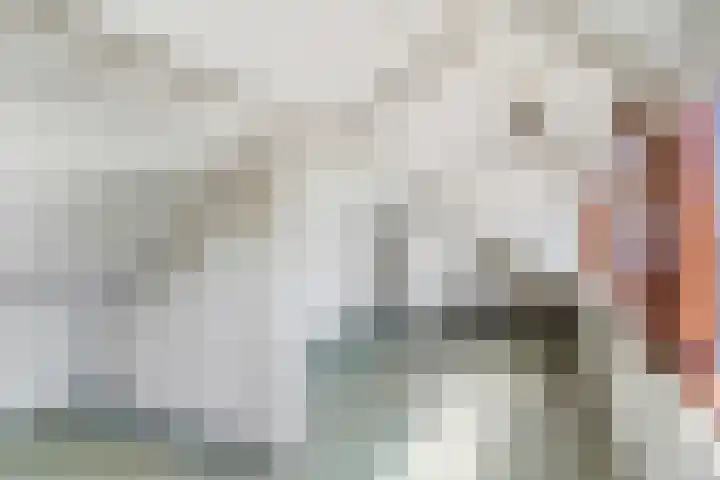 De Tip 3 Herveld thumbnail 28