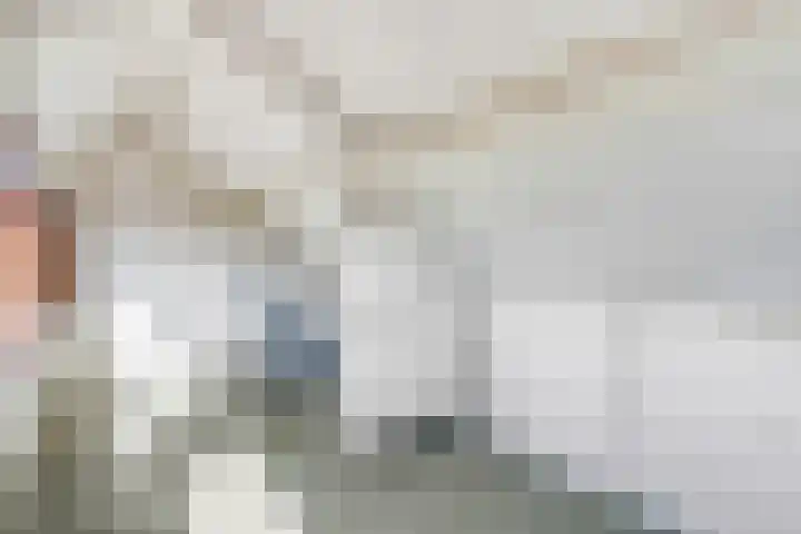 De Tip 3 Herveld thumbnail 29