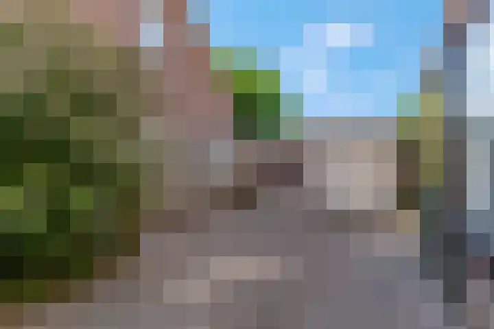 De Tip 3 Herveld thumbnail 30