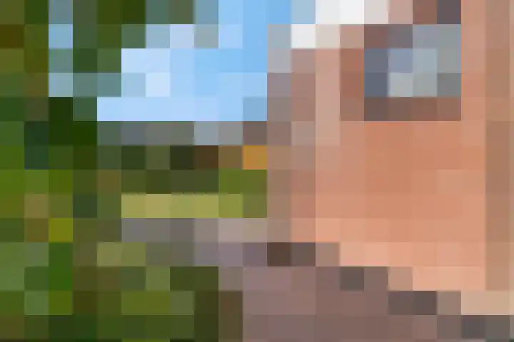 De Tip 3 Herveld thumbnail 31