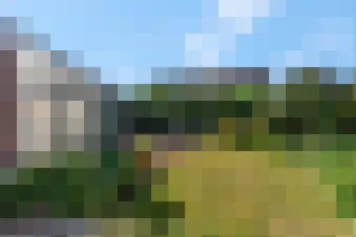 De Tip 3 Herveld thumbnail 32