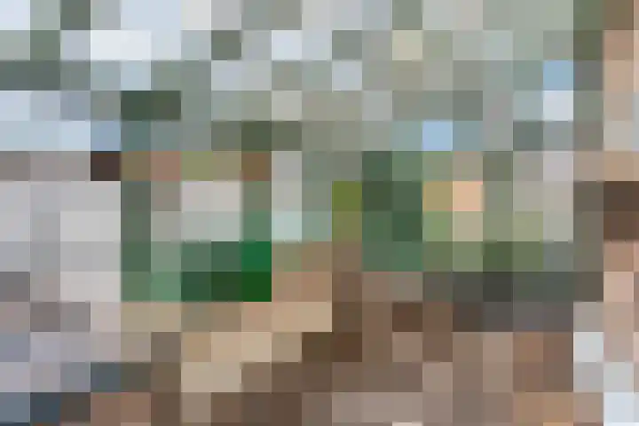 De Tip 3 Herveld thumbnail 33