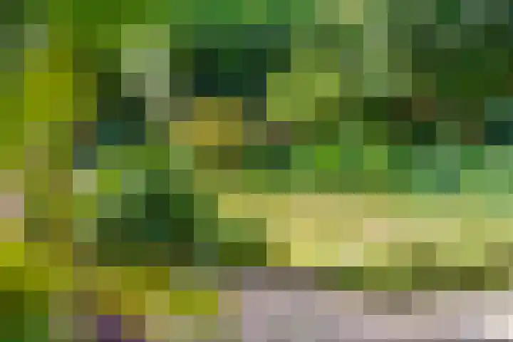 De Tip 3 Herveld thumbnail 34