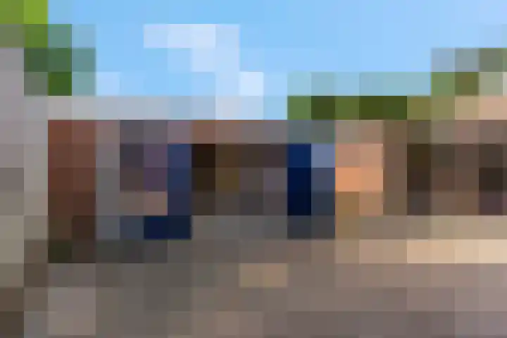 De Tip 3 Herveld thumbnail 35