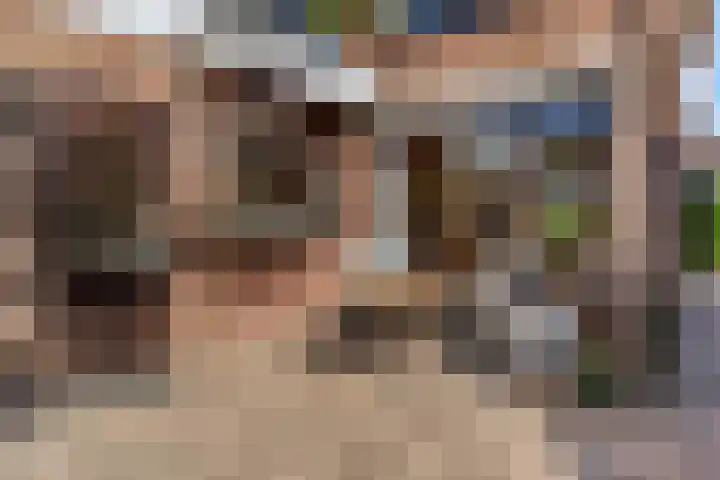 De Tip 3 Herveld thumbnail 36