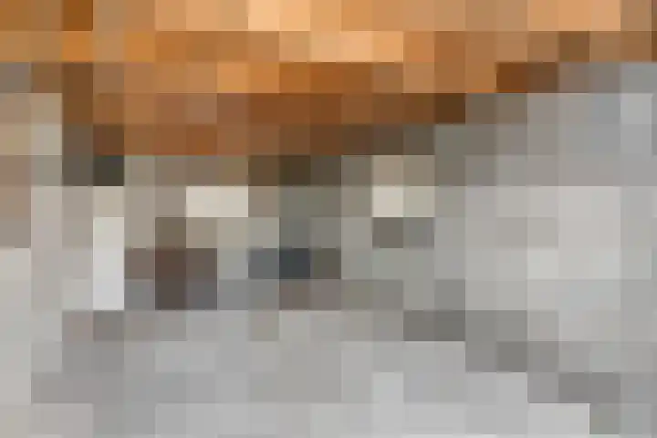 De Tip 3 Herveld thumbnail 37