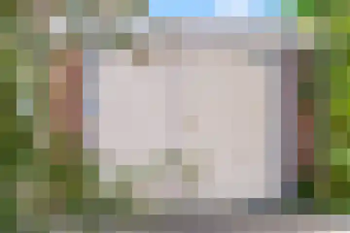 De Tip 3 Herveld thumbnail 38