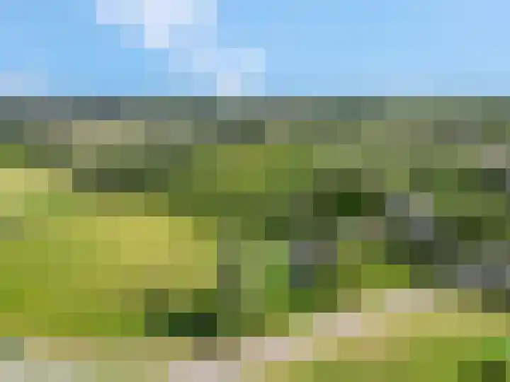 De Tip 3 Herveld thumbnail 39