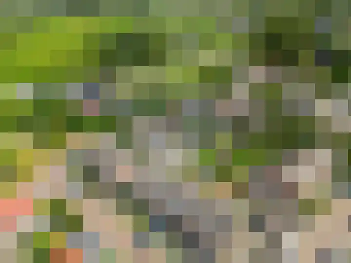 De Tip 3 Herveld thumbnail 4