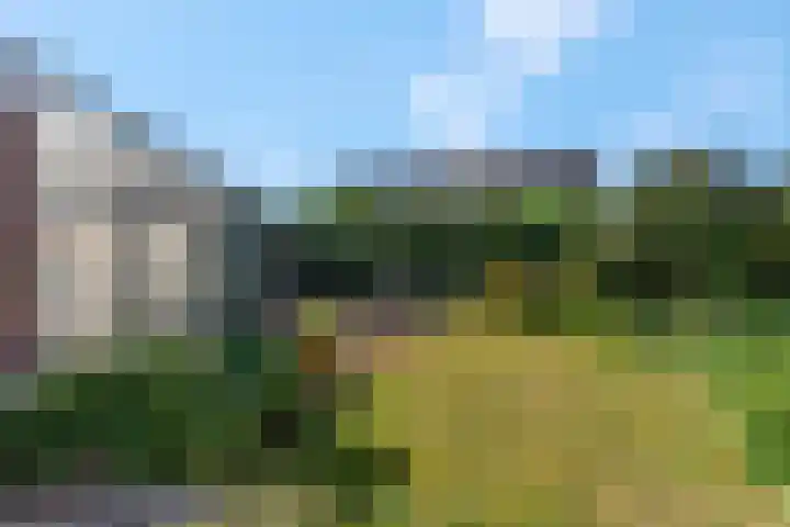 De Tip 3 Herveld thumbnail 40