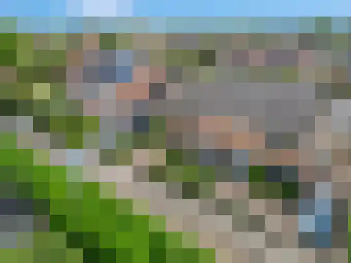 De Tip 3 Herveld thumbnail 41