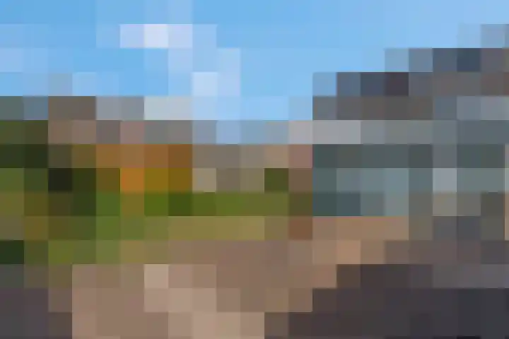 De Tip 3 Herveld thumbnail 42