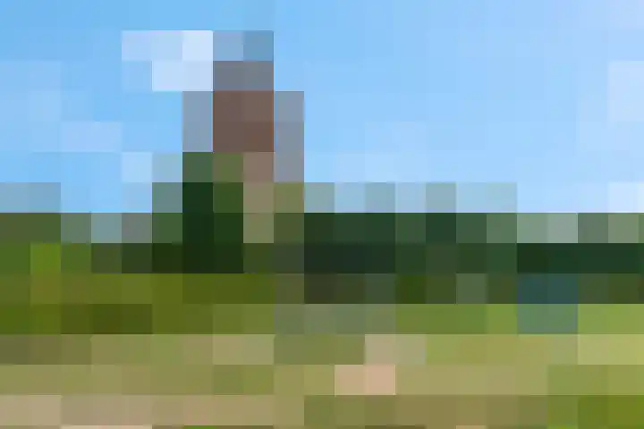 De Tip 3 Herveld thumbnail 43