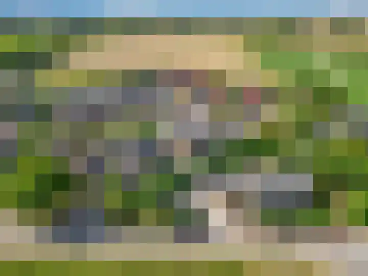 De Tip 3 Herveld thumbnail 45
