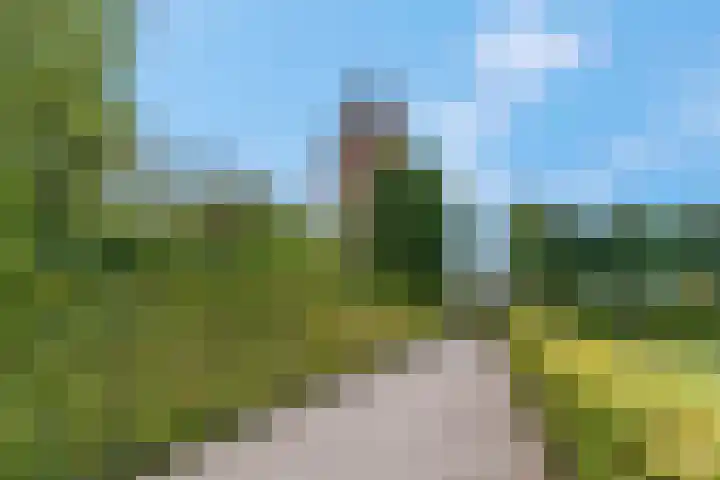 De Tip 3 Herveld thumbnail 46