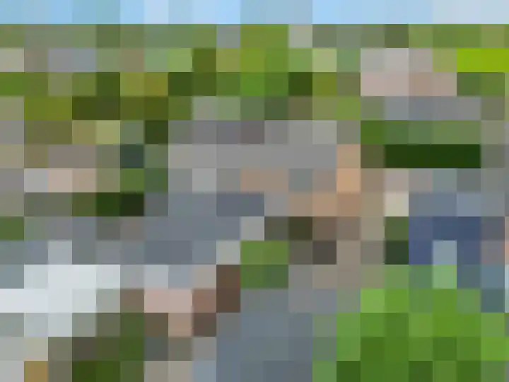 De Tip 3 Herveld thumbnail 47