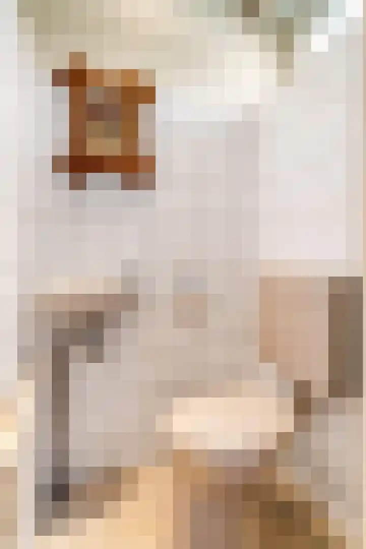 De Tip 3 Herveld thumbnail 6