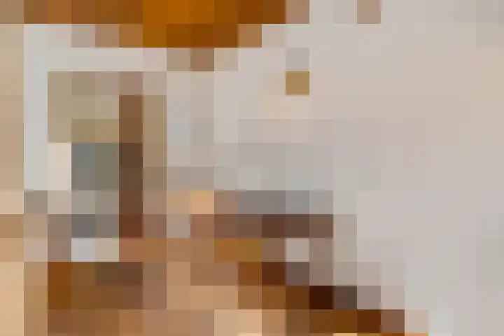 De Tip 3 Herveld thumbnail 9