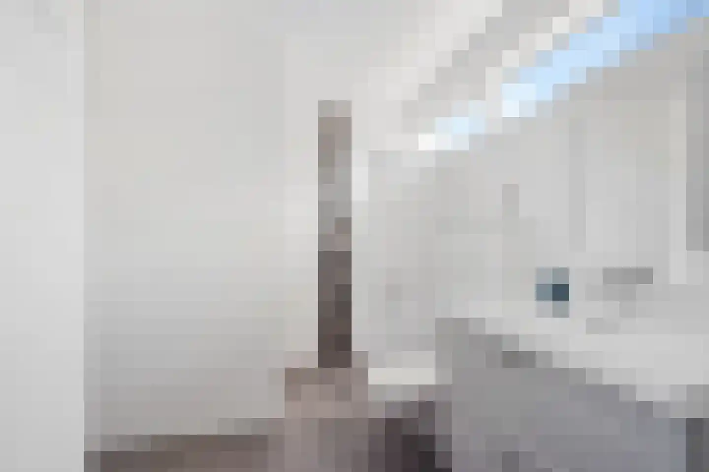 De Tip 41 De Kiel thumbnail 23