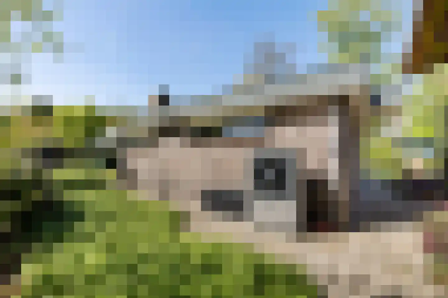 De Tip 41 De Kiel thumbnail 36