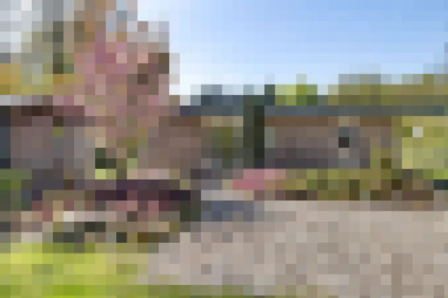 De Tip 41 De Kiel thumbnail 4