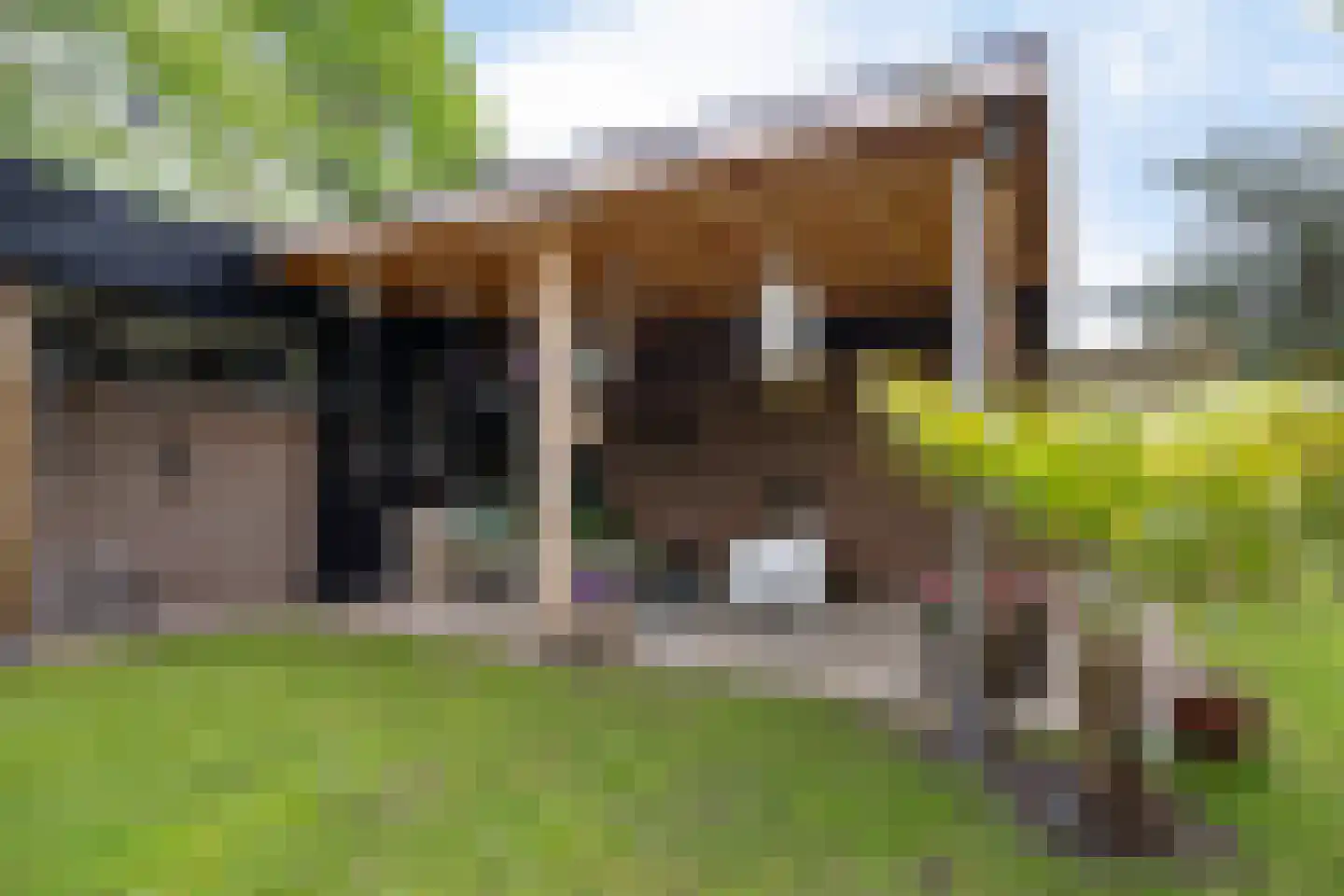 De Tip 73 De Kiel thumbnail 27