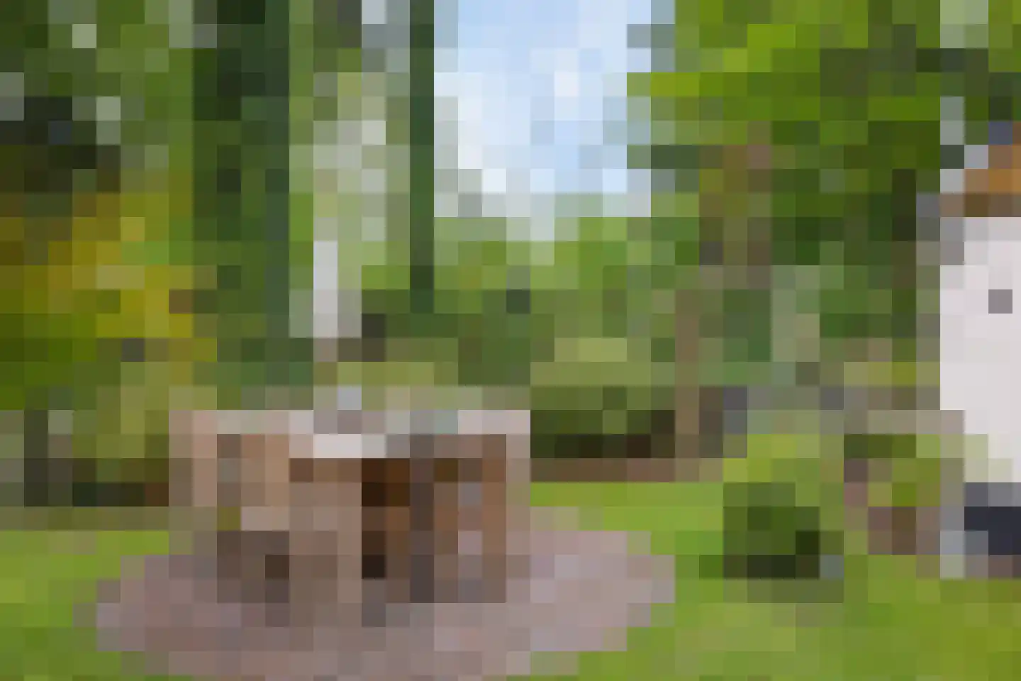 De Tip 73 De Kiel thumbnail 30