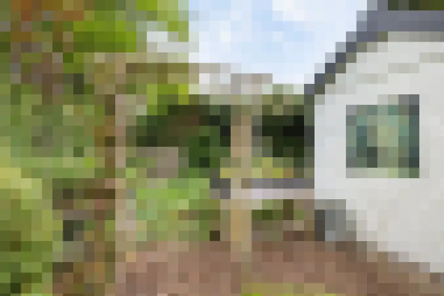 De Tip 73 De Kiel thumbnail 31