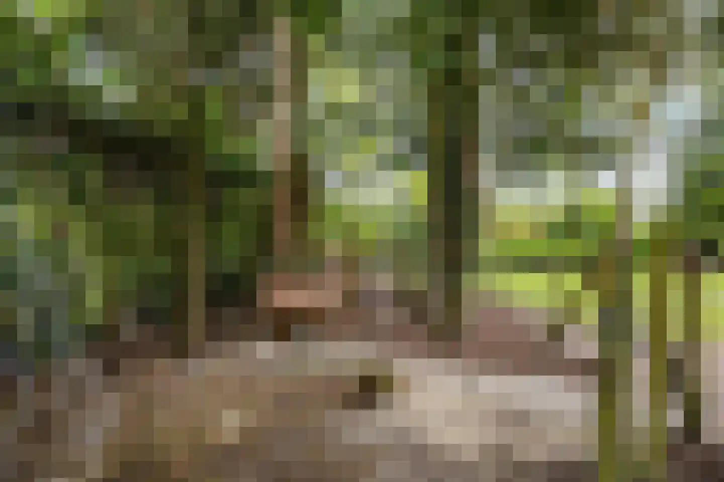 De Tip 73 De Kiel thumbnail 33