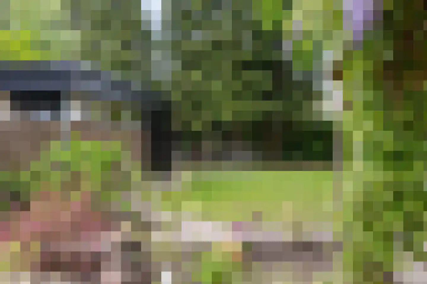 De Tip 73 De Kiel thumbnail 37