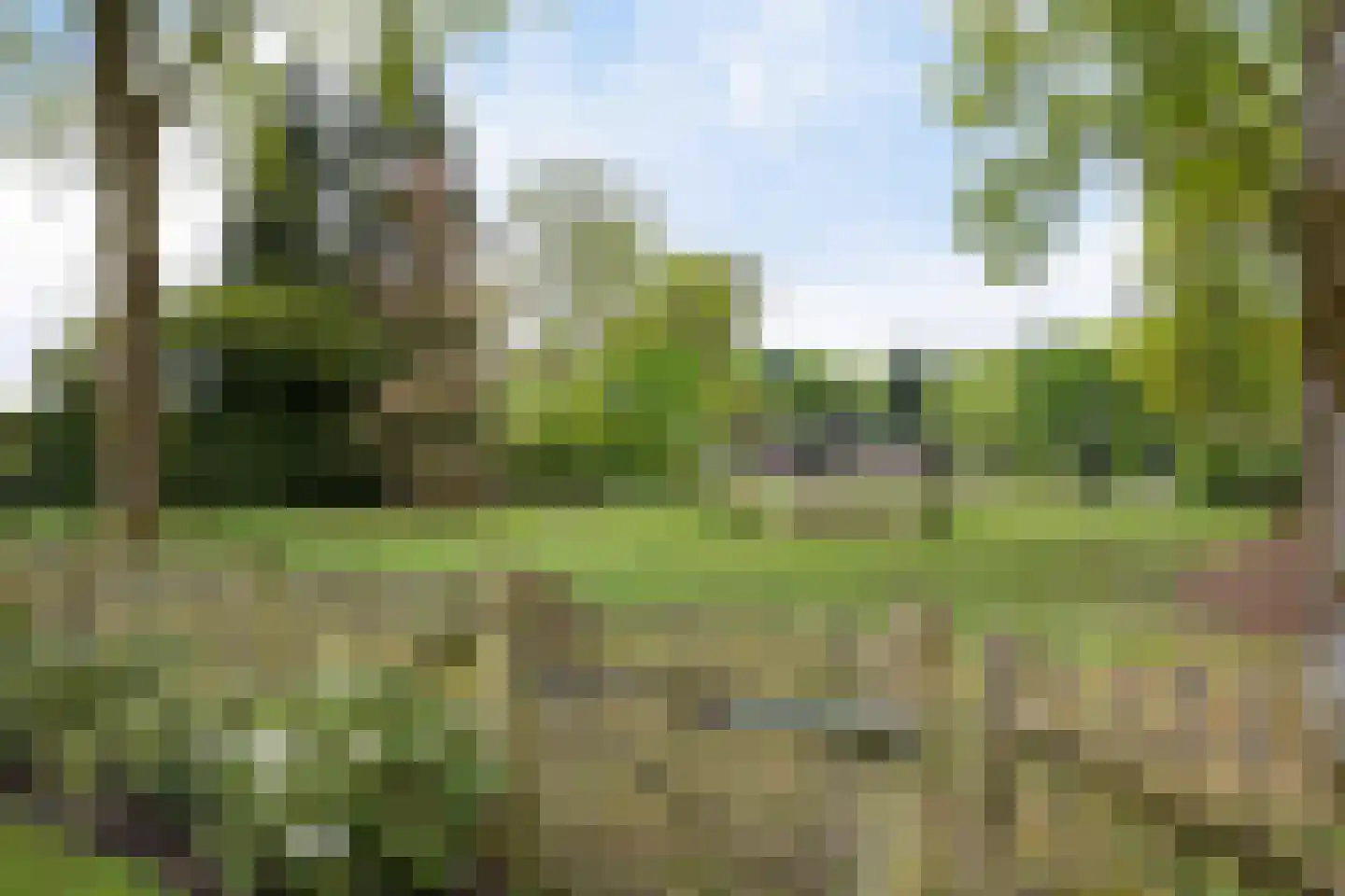 De Tip 73 De Kiel thumbnail 41
