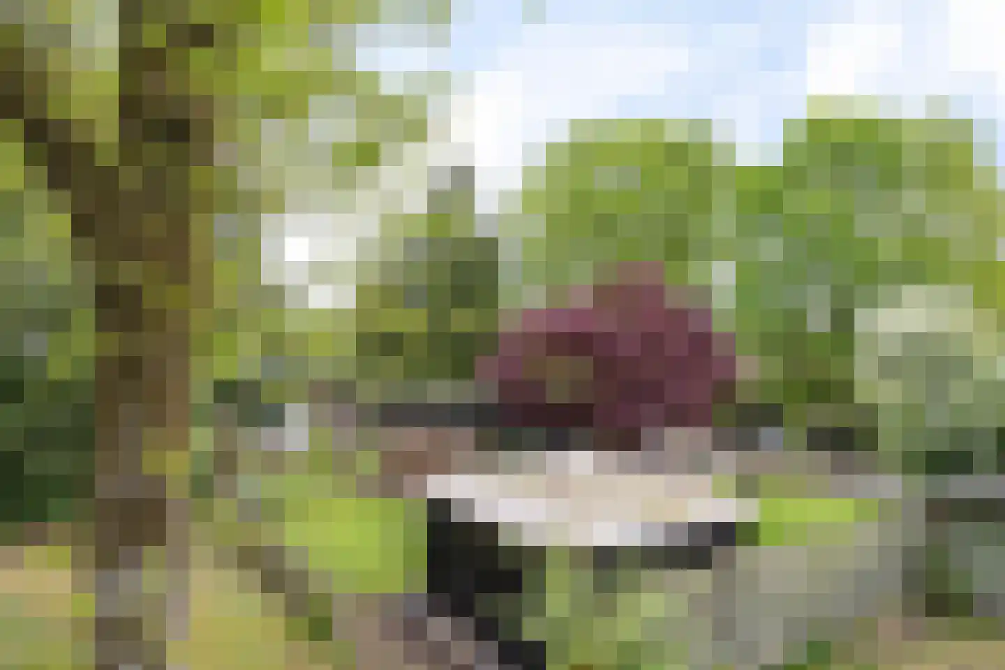 De Tip 73 De Kiel thumbnail 45