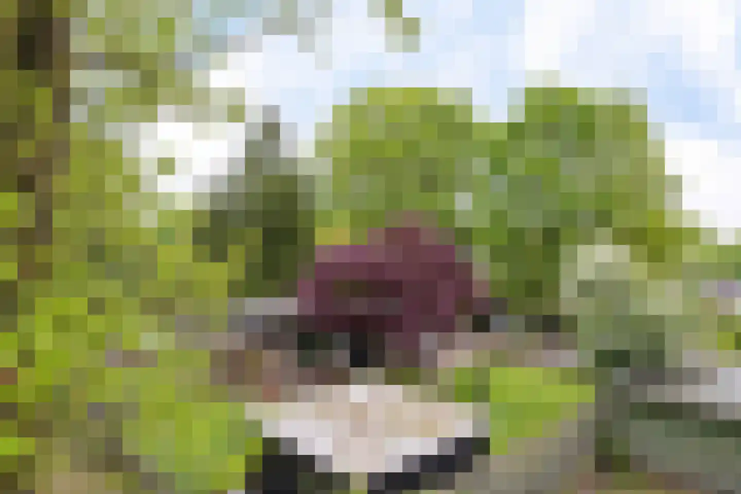 De Tip 73 De Kiel thumbnail 46