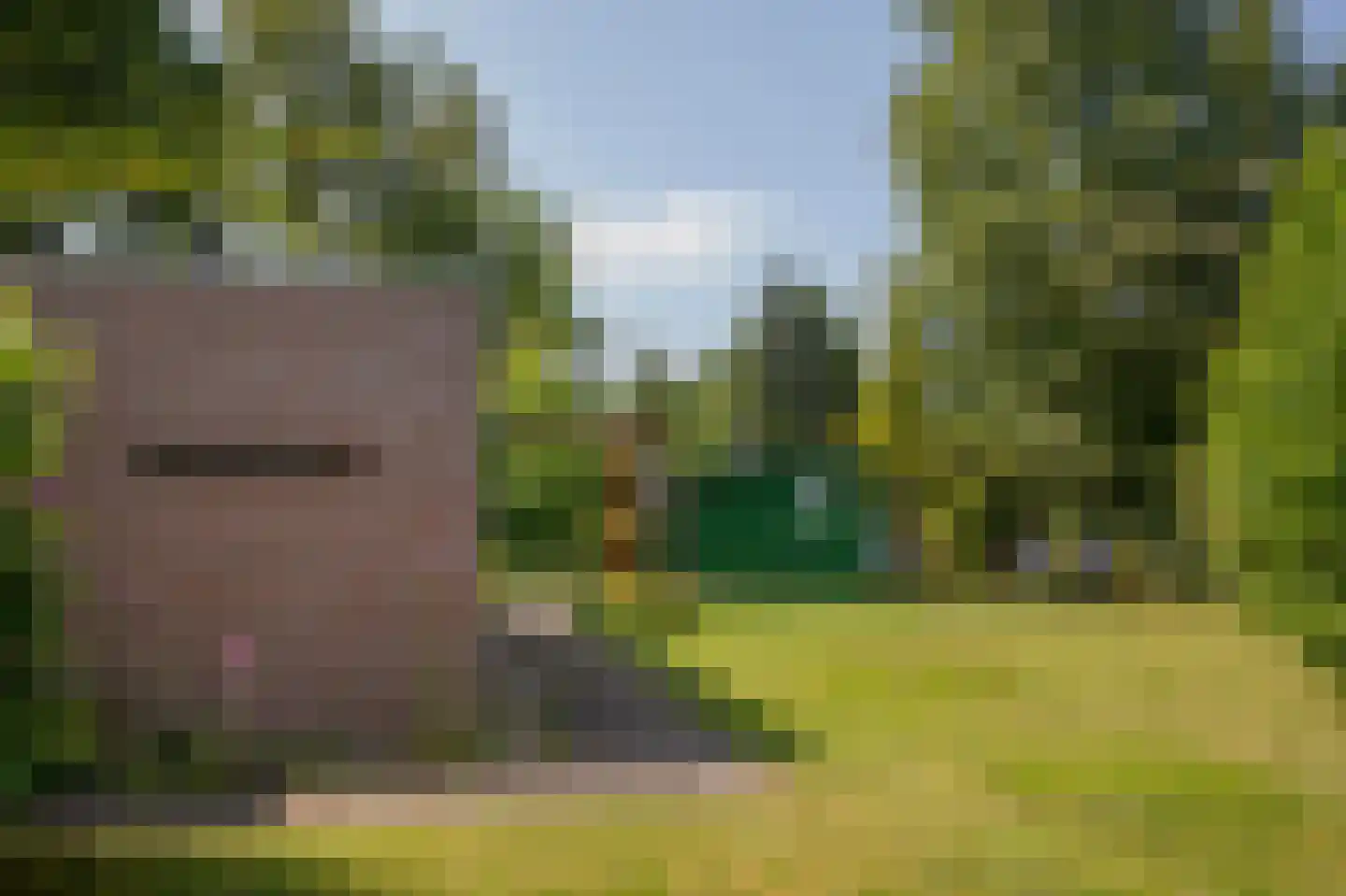 De Tip 79 De Kiel thumbnail 14
