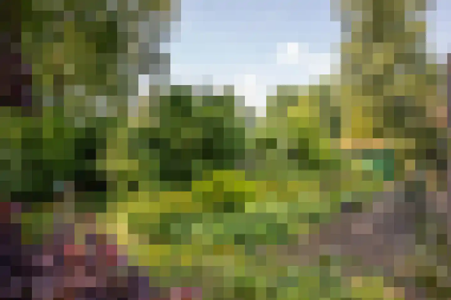 De Tip 79 De Kiel thumbnail 16