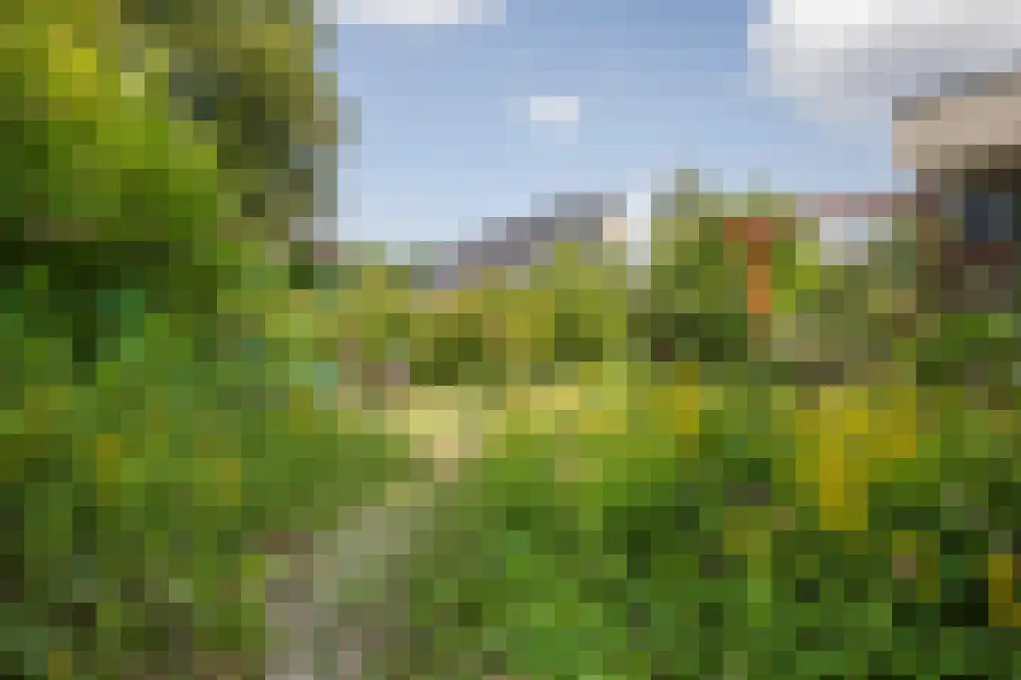 De Tip 79 De Kiel thumbnail 17