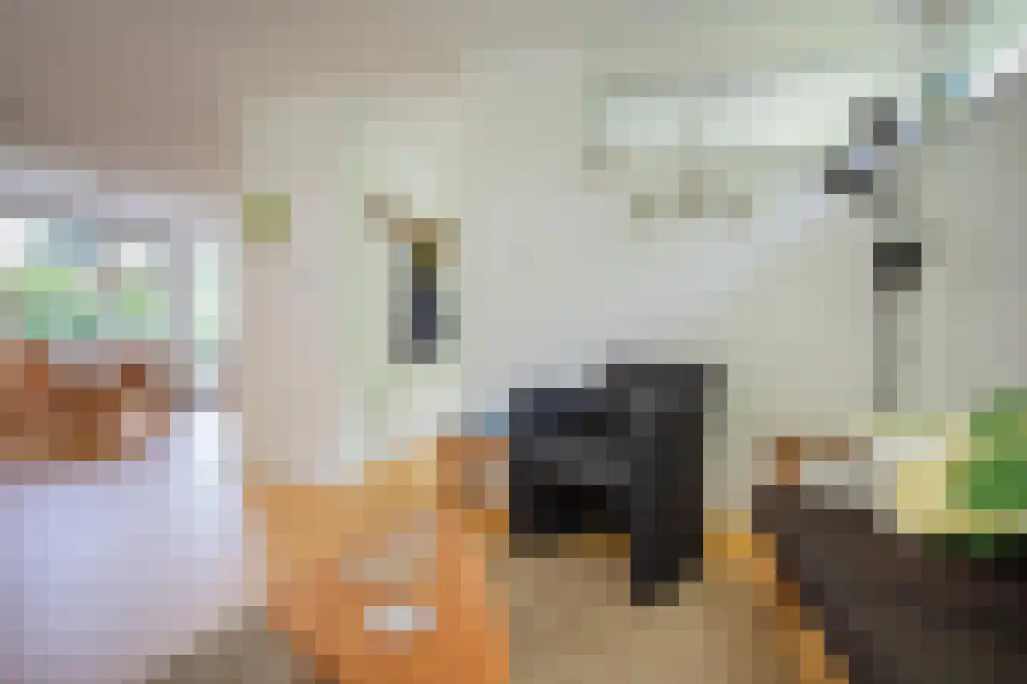De Tip 79 De Kiel thumbnail 4