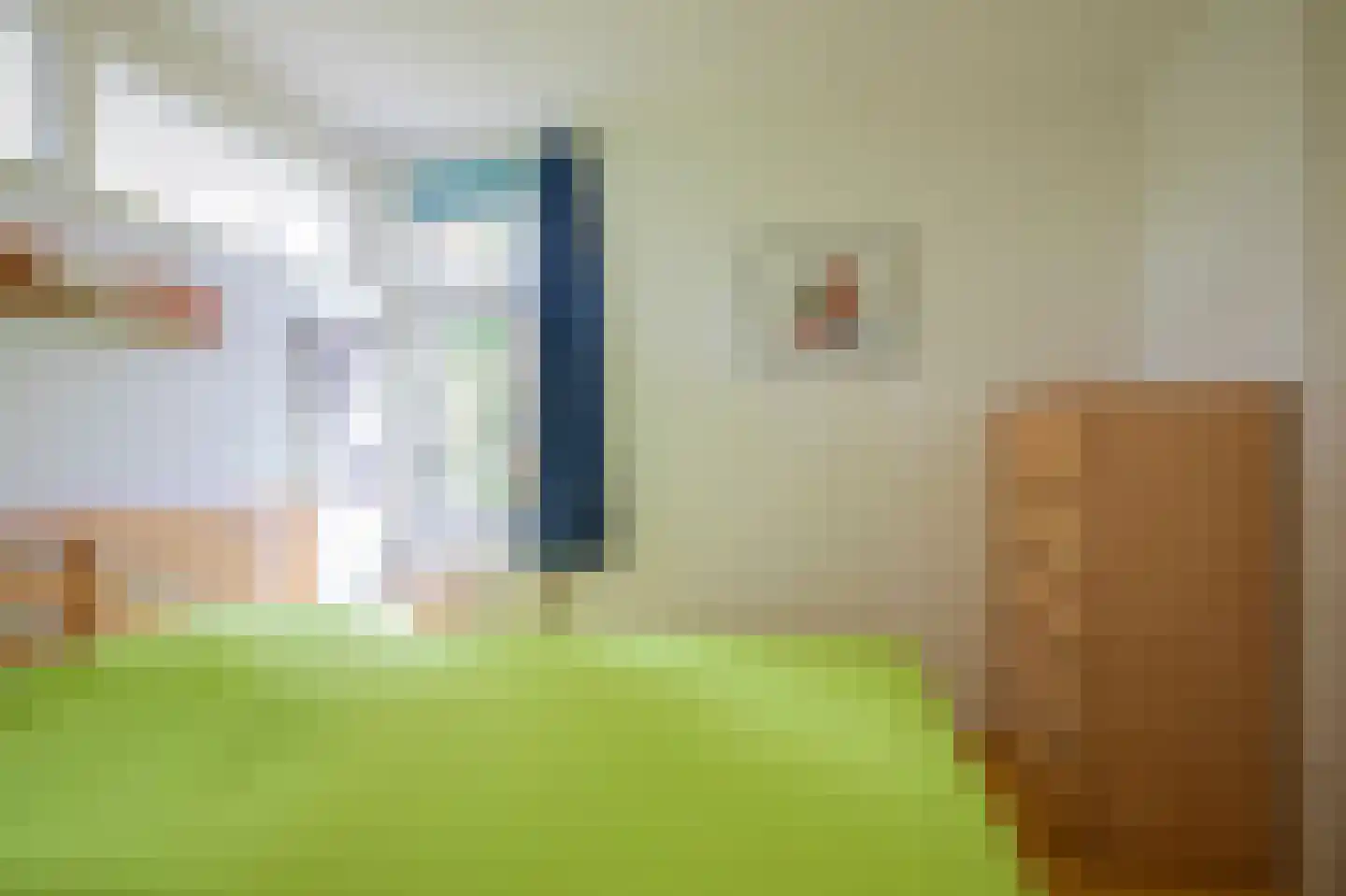 De Tip 79 De Kiel thumbnail 8