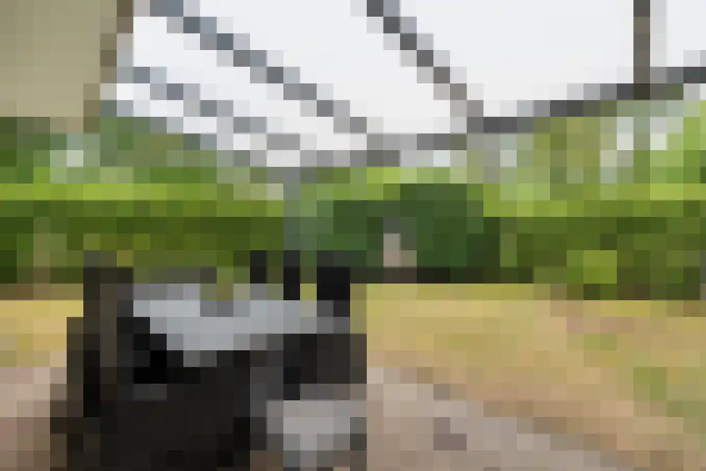 De Tip 95 De Kiel thumbnail 27