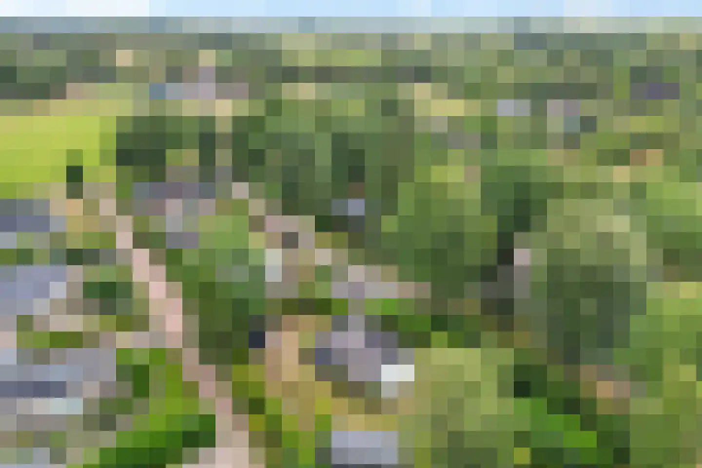 De Tip 95 De Kiel thumbnail 42