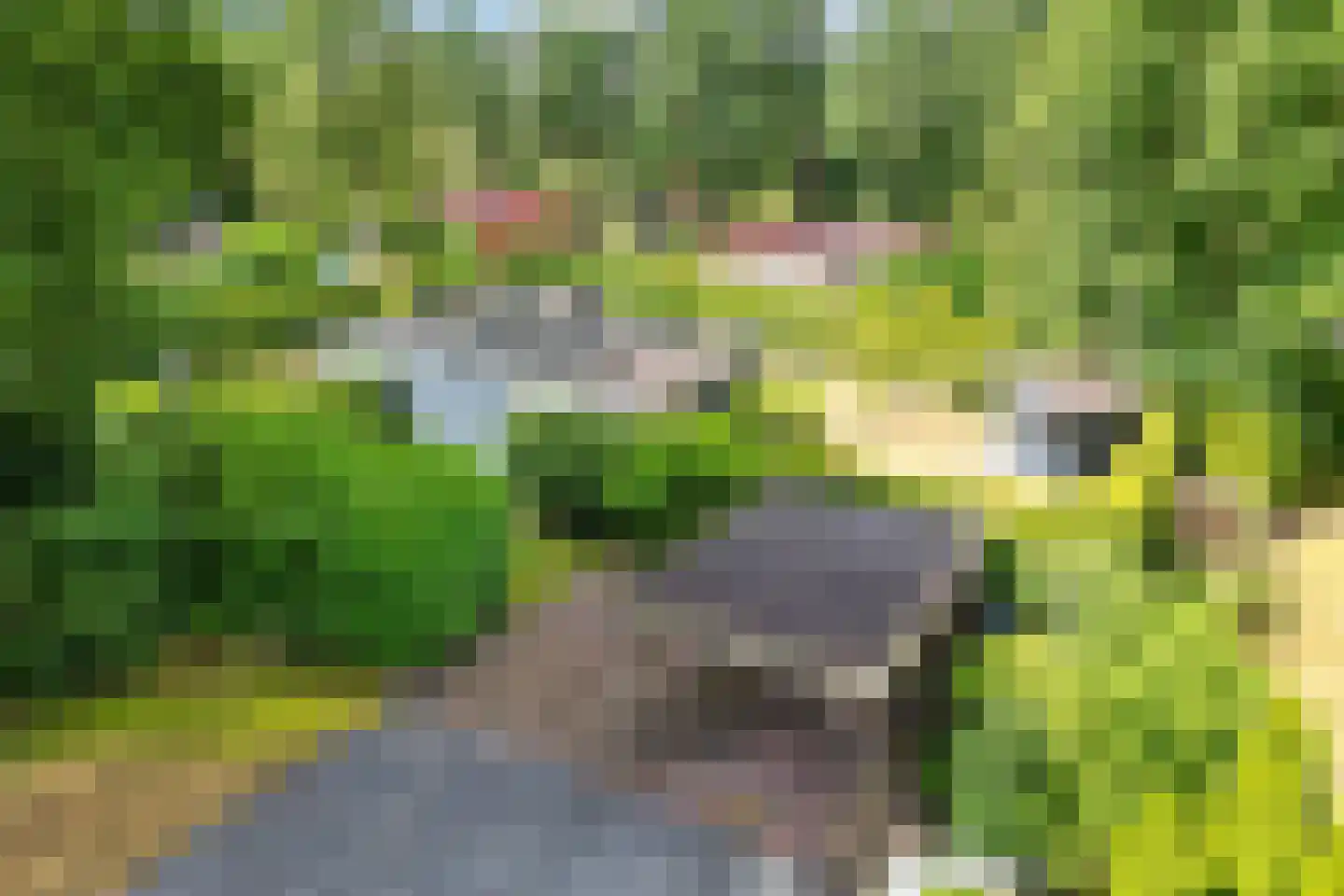 De Tip 95 De Kiel thumbnail 6