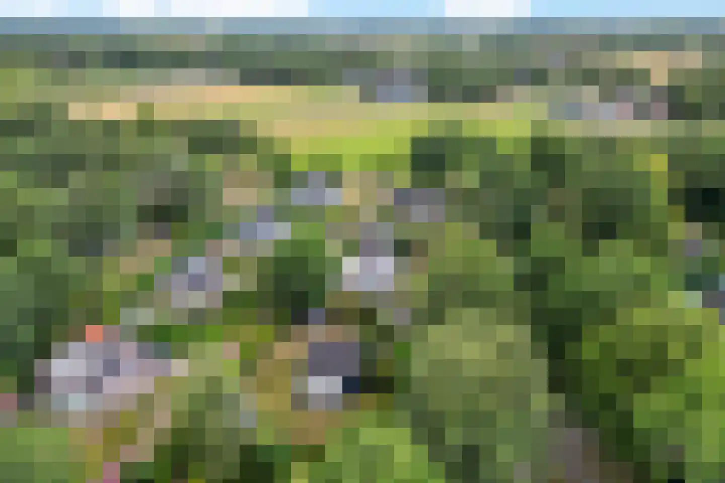 De Tip 95 De Kiel thumbnail 8