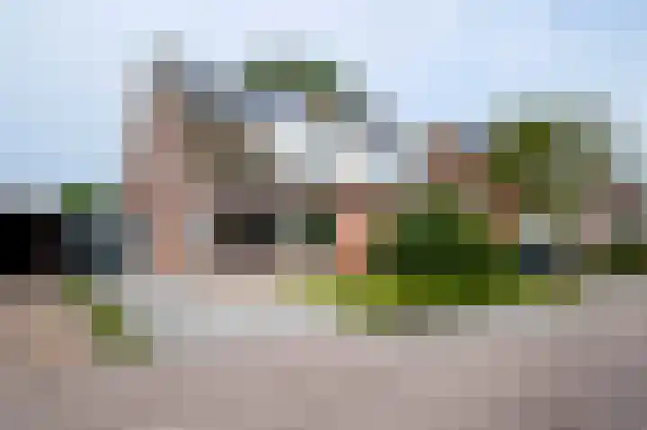 De Tipakkers 9 in Pesse