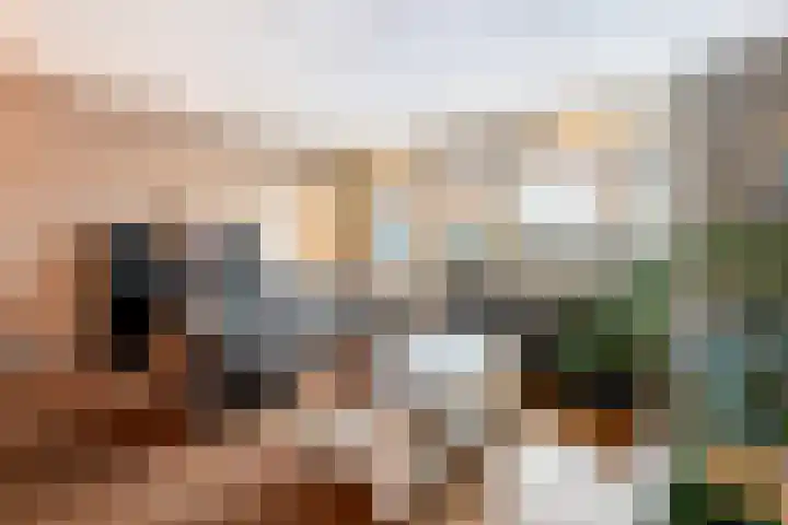 De Tippe 8 Fluitenberg thumbnail 15