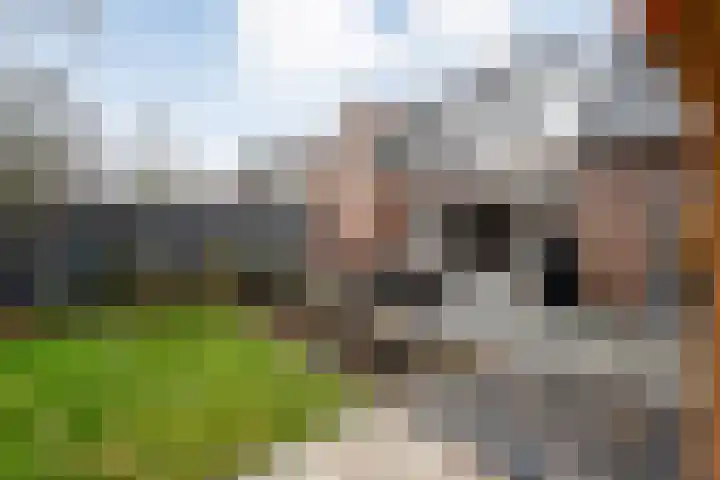 De Tippe 8 Fluitenberg thumbnail 35