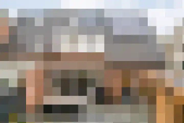 De Tippe 8 Fluitenberg thumbnail 45