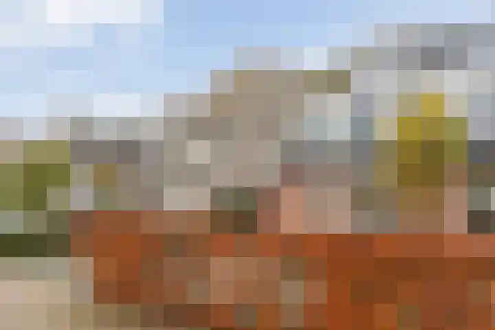 De Tippe 8 Fluitenberg thumbnail 52