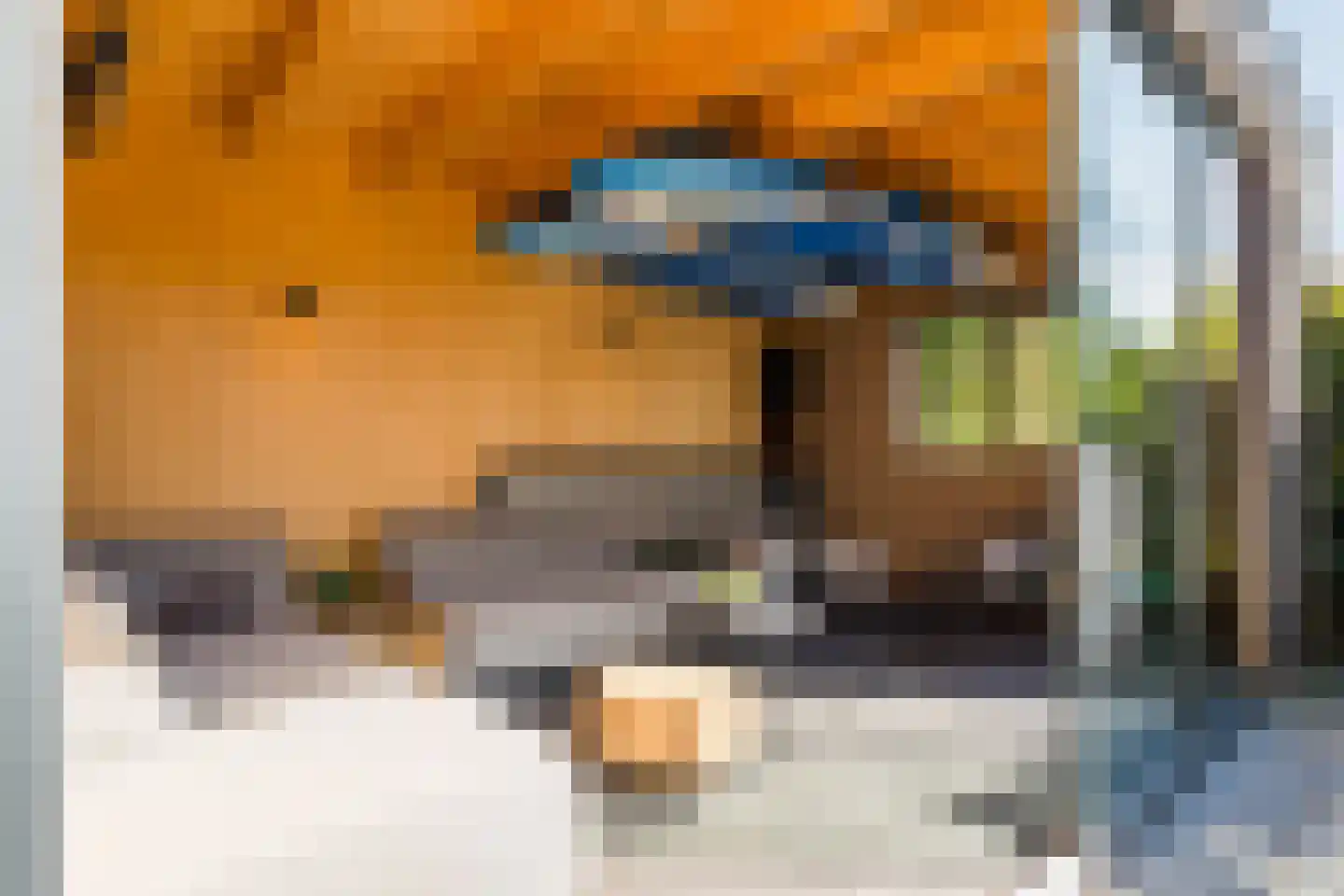 De Tjonger 18 Leeuwarden thumbnail 61